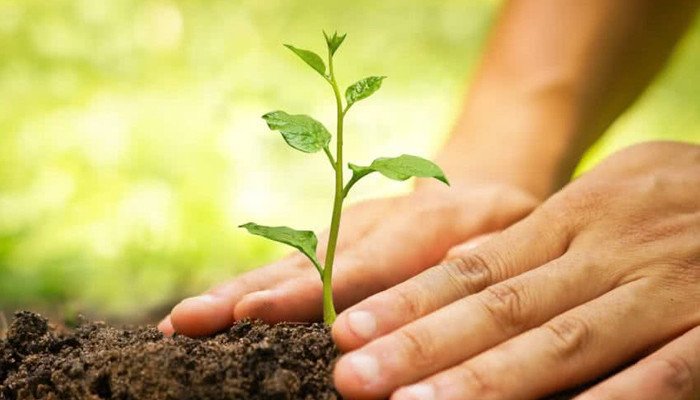 شاباش زاہد حسین