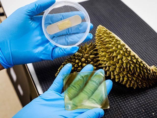 پھلوں کے چھلکوں سے جراثیم کش پٹیاں تیار