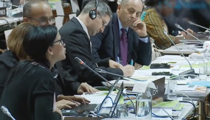 جب کیوبا نے اقوام متحدہ میں فلسطینیوں کی حمایت میں اسرائیل کو منہ توڑ جواب دیا