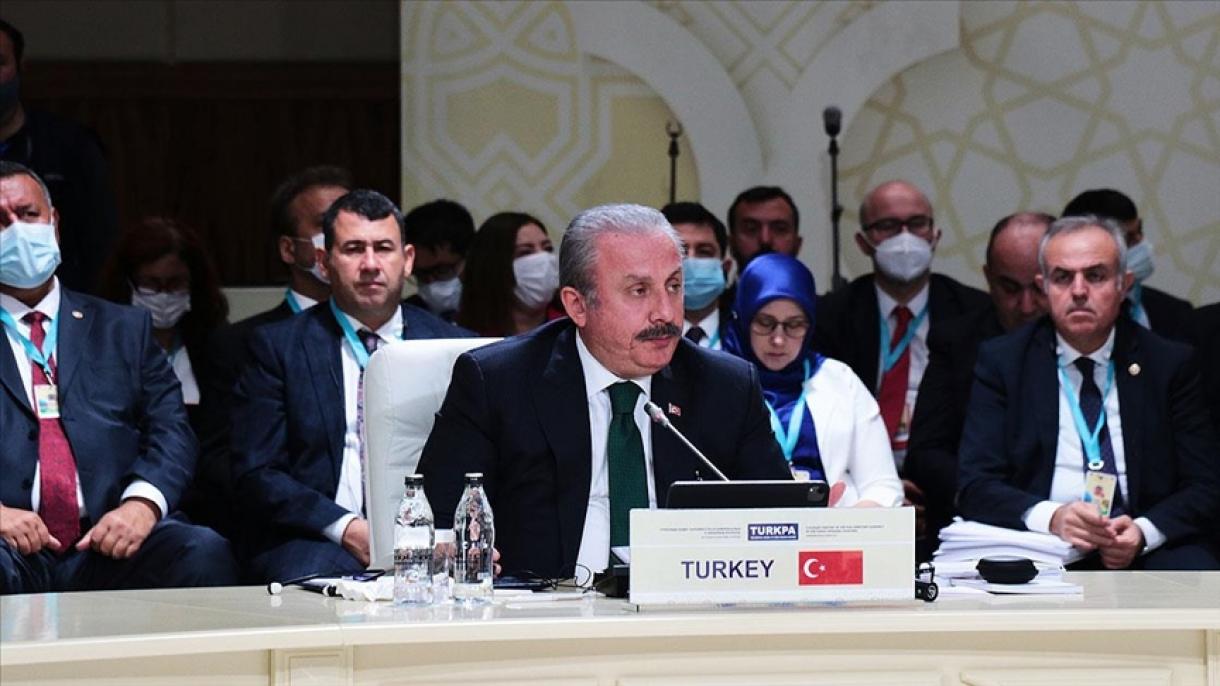 فیتو دہشت گرد تنظیم ترکی کے برادر ممالک کے لیے سنگین خطرہ ہے، مصطفی شین توپ