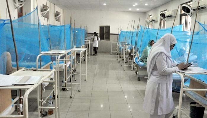 پختونخوا کے اسپتالوں میں ڈینگی کے مریضوں کی تعداد میں تیزی سے اضافہ