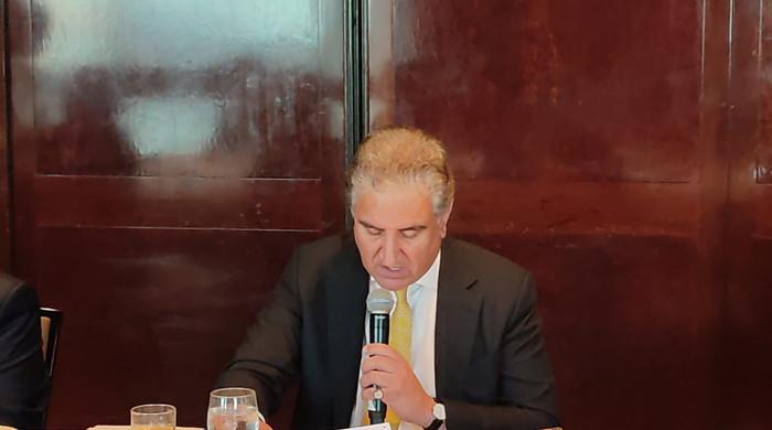 وزیر خارجہ کا نیوزی لینڈ کے دورے کی منسوخی میں پڑوسی ملک کے ملوث ہونے کے خدشے کا اظہار