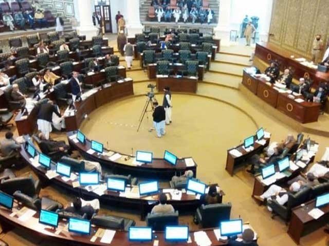 باجوڑ کے سرکاری اسپتالوں میں ڈاکٹروں کی کمی کا معاملہ صوبائی اسمبلی پہنچ گیا