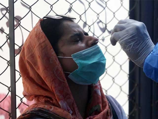 ملک میں مزید 702 افراد کورونا سے متاثر، مثبت کیسز کی شرح 1.42 فیصد ریکارڈ