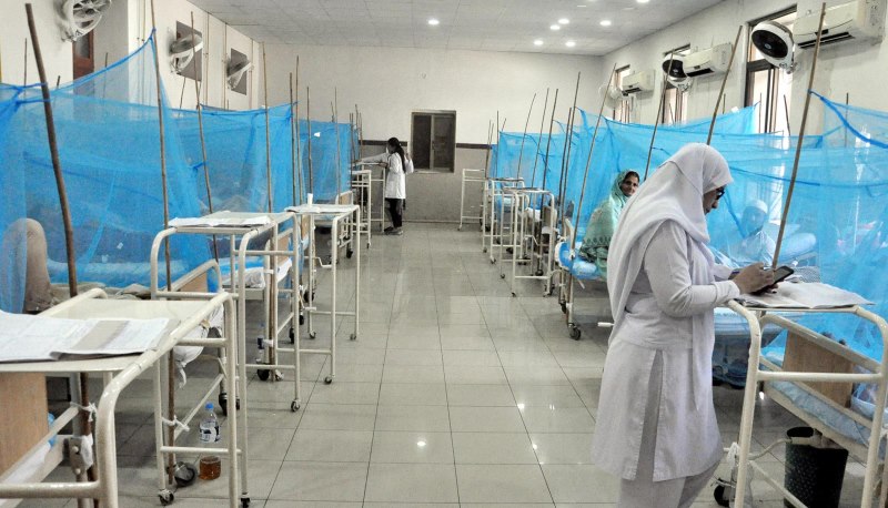 خیبرپختونخوا میں ڈینگی کیسز میں تیزی سے اضافہ