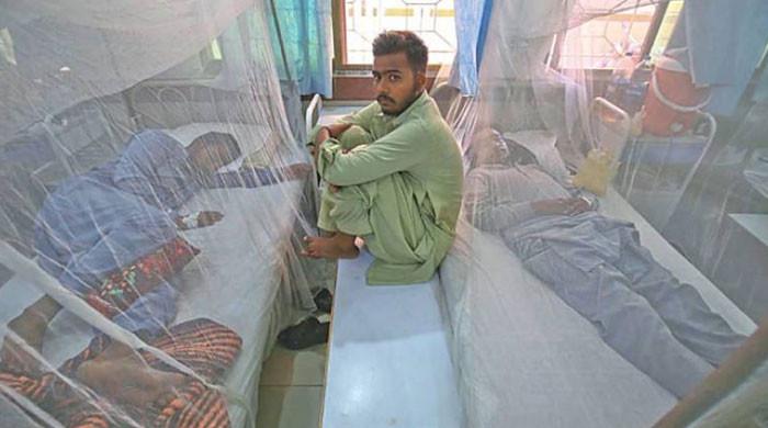 پنجاب میں ڈینگی سے ہلاکتیں بڑھنے لگیں، لاہور بری طرح متاثر