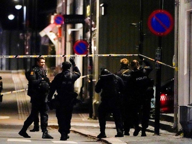 ناروے کی سپر مارکیٹ میں نامعلوم شخص کا تیر کمان سے حملہ، متعدد ہلاکتیں