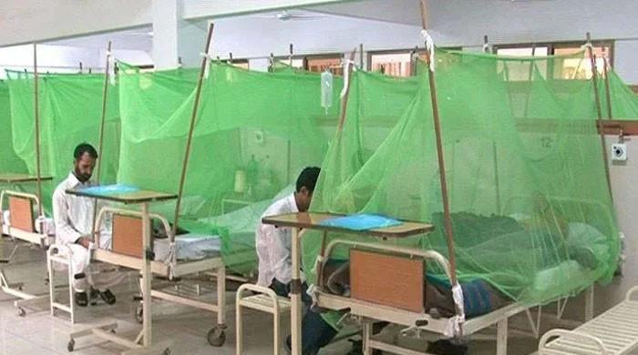 لاہور میں ڈینگی وبا کی شکل اختیار کر گیا