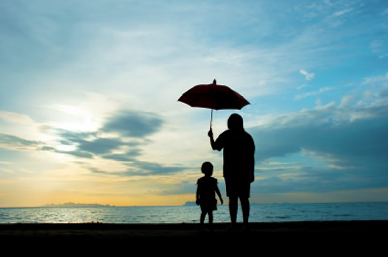 کوڑے کا پھول