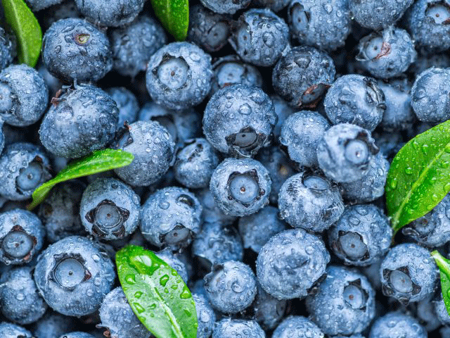 Blueberry