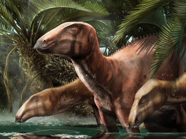 اٹلی میں 11 ڈائنوسار کا پورا ریوڑ دریافت