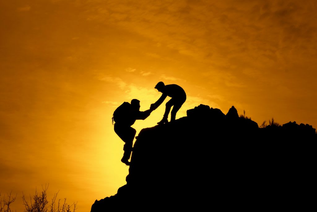 انسان کی پہچان