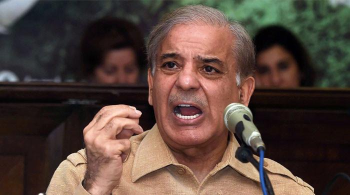 ملک میں تباہی اور کرپشن کرنے والوں کو اپنے کرتوتوں پر خوفزدہ ہونا چاہیے: شہباز شریف