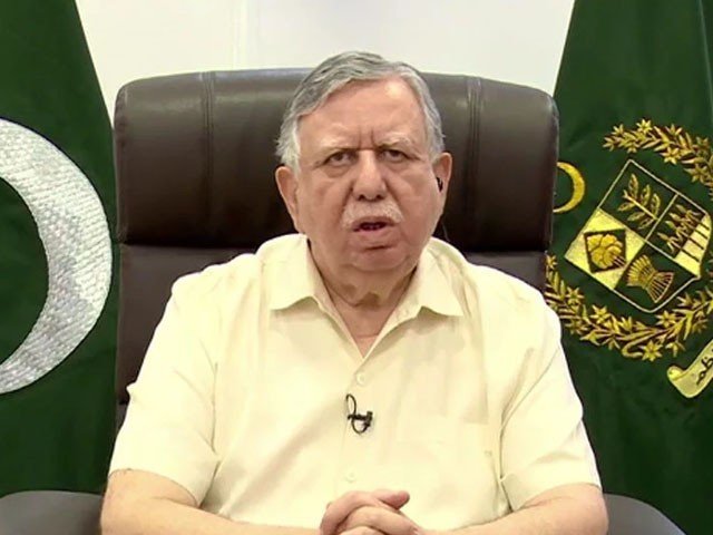 آئی ایم ایف کی ہر بات تسلیم نہیں کر سکتے، شوکت ترین